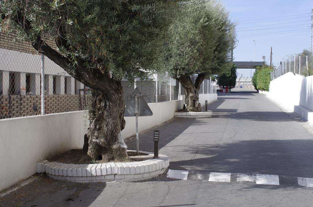 Hotel Los Olivos Χετάφε Εξωτερικό φωτογραφία