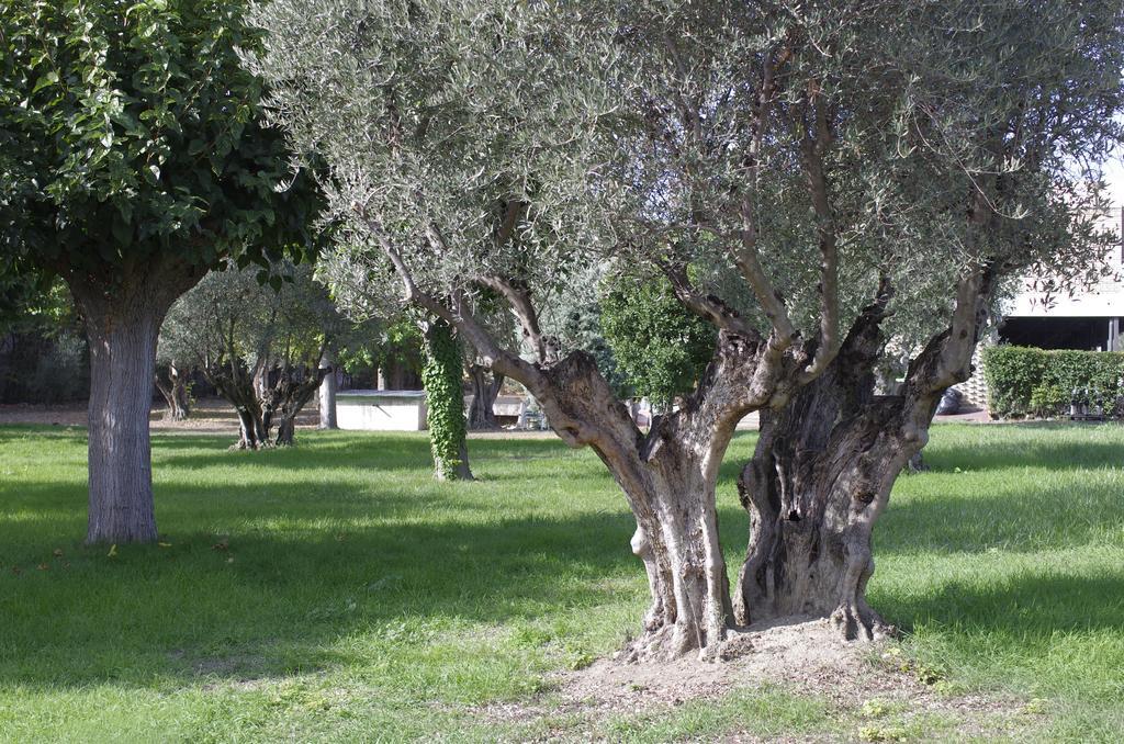 Hotel Los Olivos Χετάφε Εξωτερικό φωτογραφία