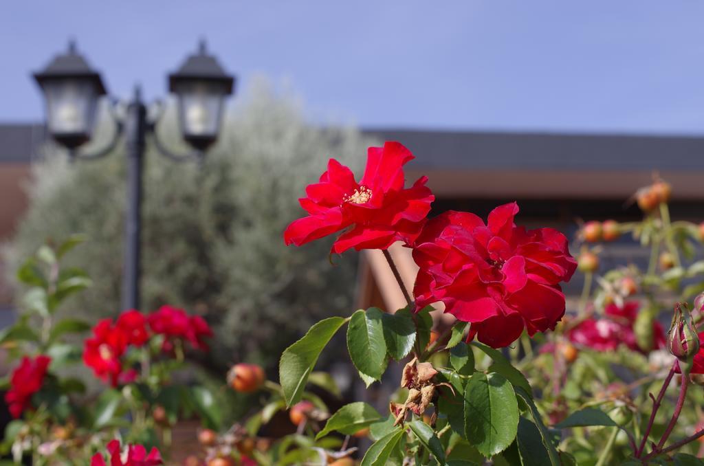 Hotel Los Olivos Χετάφε Εξωτερικό φωτογραφία