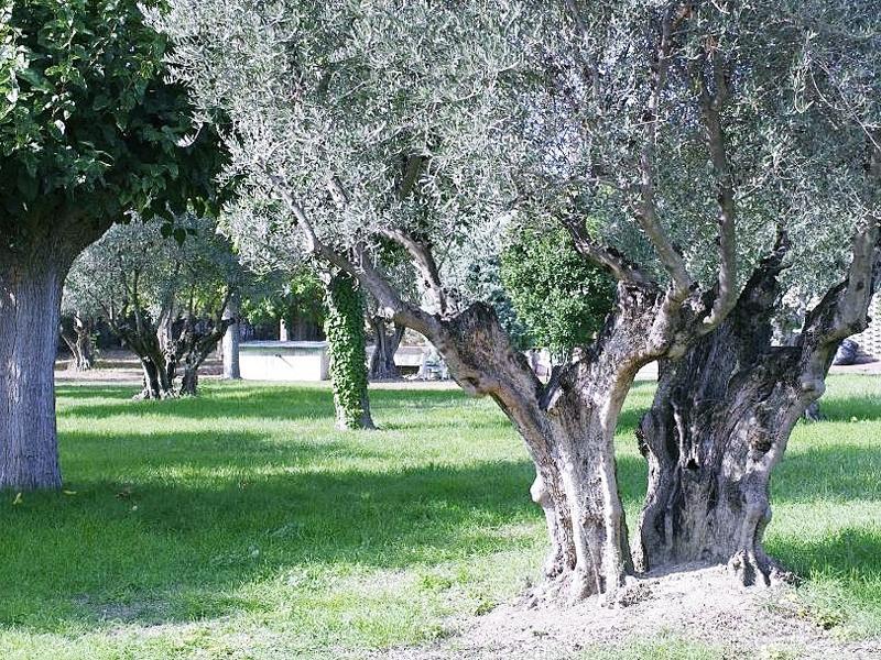 Hotel Los Olivos Χετάφε Εξωτερικό φωτογραφία